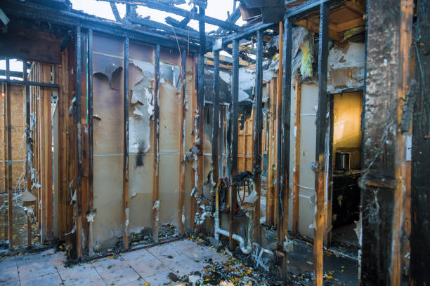 Professional Fire Damage Repair technician working in Eldorado, IL